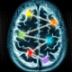 Illustration for article titled The 10 Percent of the Brain Myth is Still Bullshit, Neuroscientists Say